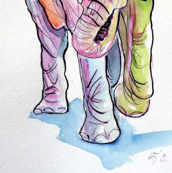 Elephant baby