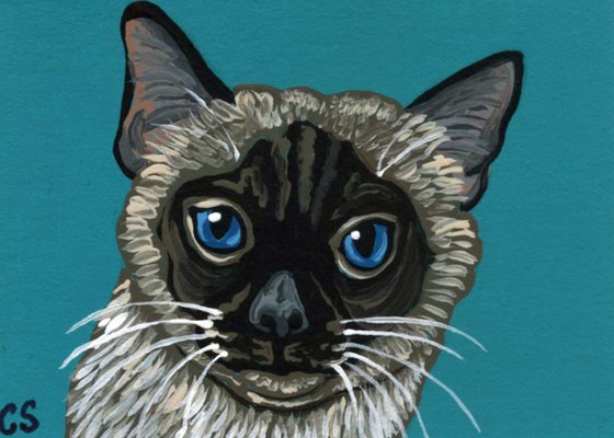 ACEO ATC Original Painting Siamese Pet Cat Art-Carla Smale