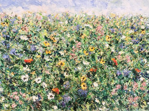 Colorful flowers field by Vilma Gataveckienė