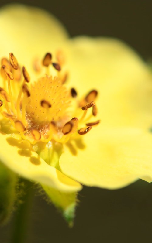 Basking by Kevin Cloughley