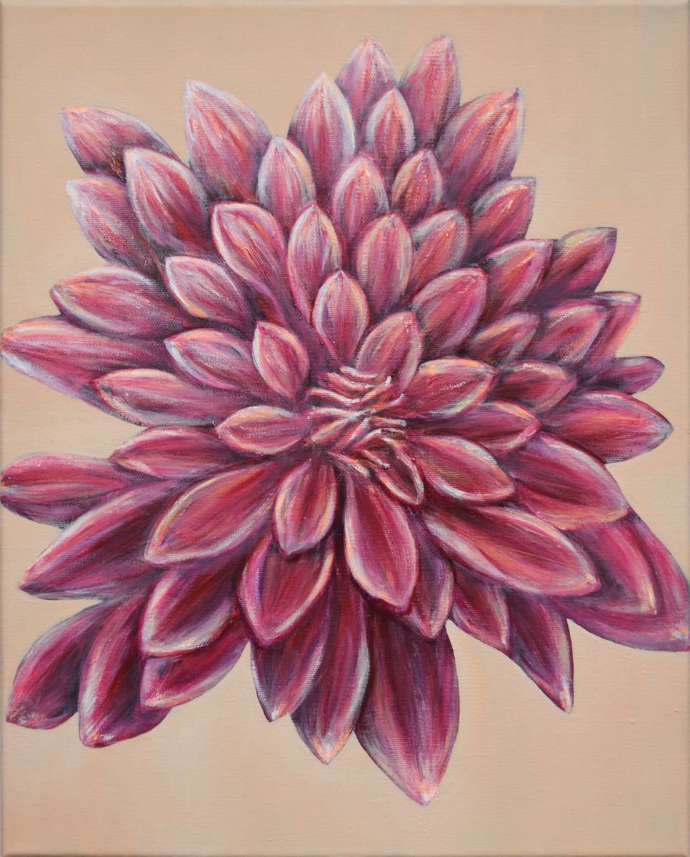 Dahlia Opening by Jacqueline Talbot