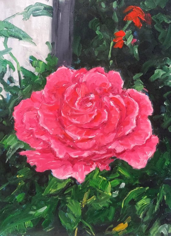 single rose
