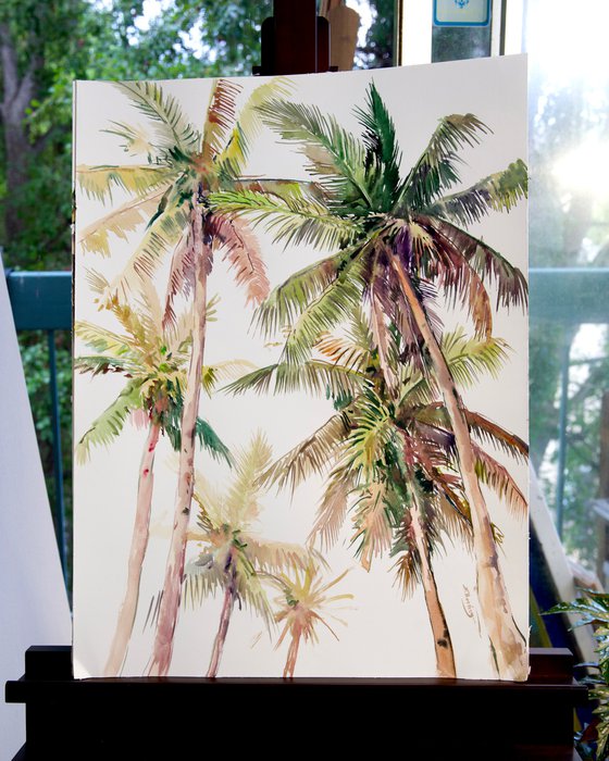 Coconut Palm Trees from Florida