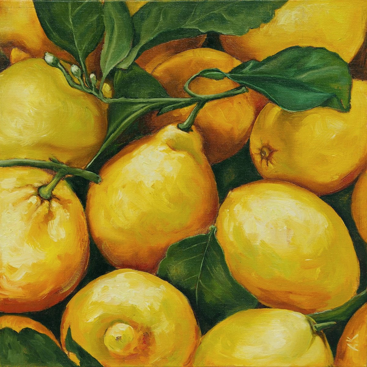 Lemon season by Alfia Koral
