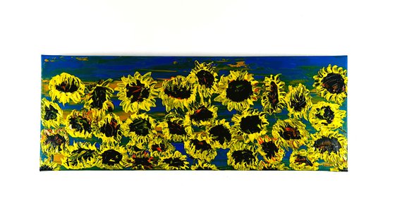 Blooming sunflowers 2