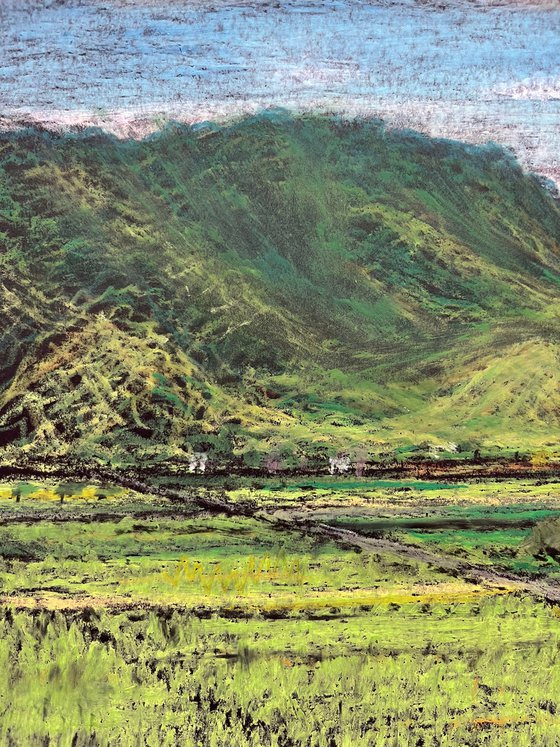 Chihshang Ricefields 2, Taitung