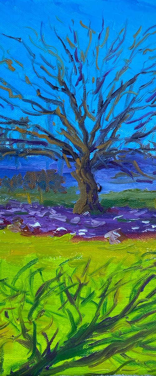 Spring flowers under the tree by Dmitry Fedorov