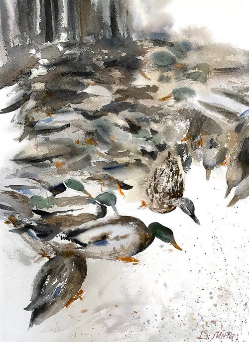 "Ducks" 37x51cm by Daria Mitta