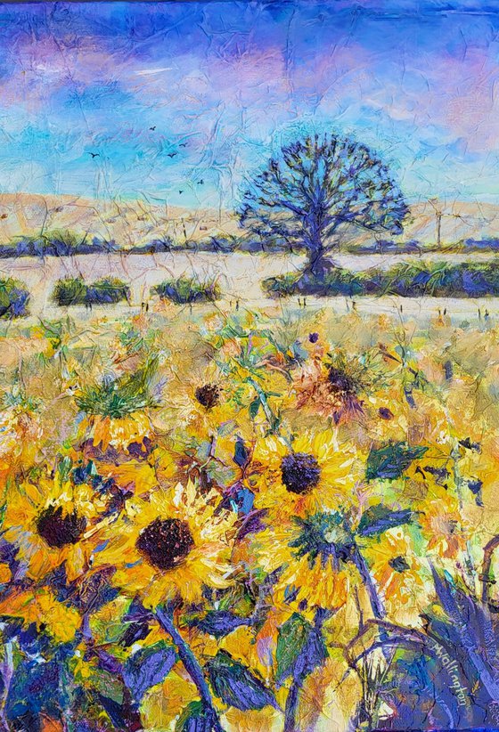 Sunflower Field