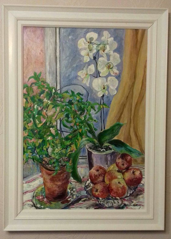 Still Life With Jasmine And Orchids