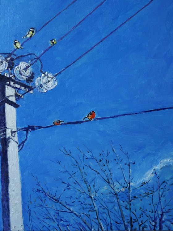 January Birds on Poles