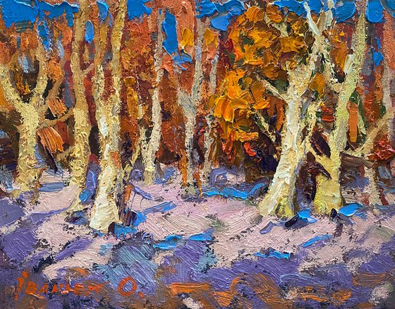 The Forest
