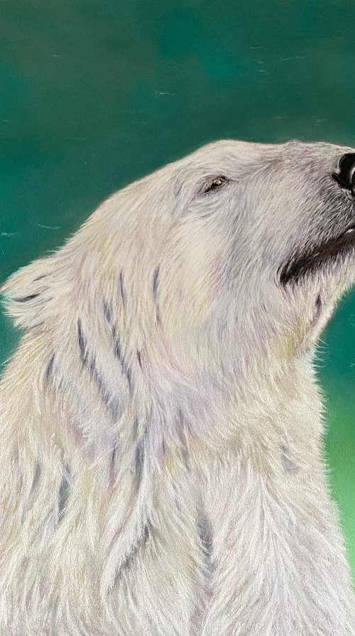 Polar bear by Maxine Taylor