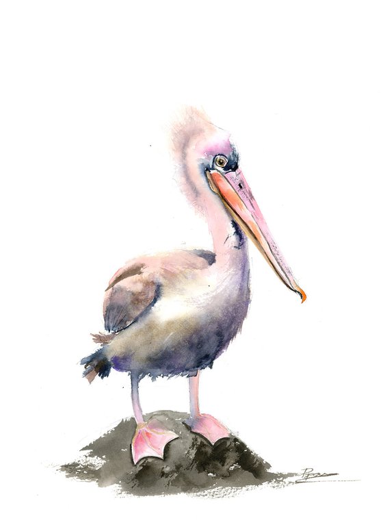 Set of 2 Pelicans  - Original Watercolor Paintings