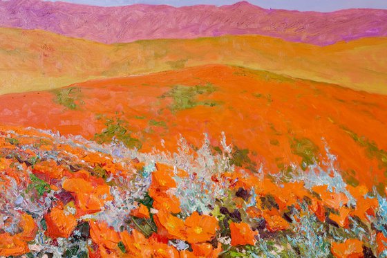 Valley of Poppies, California