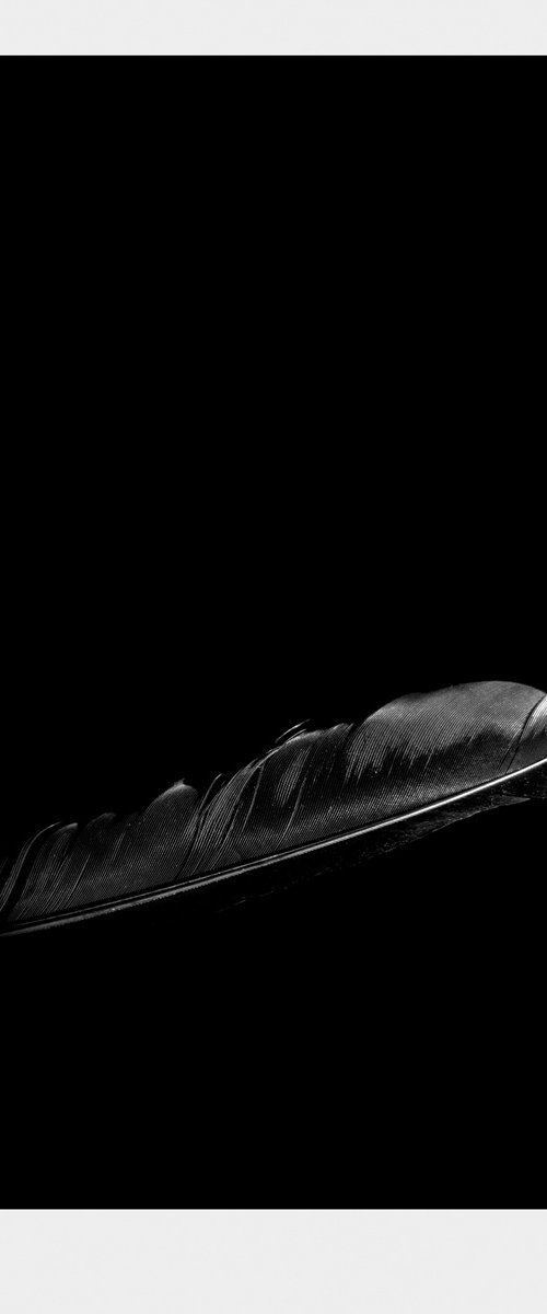 Untitled I by Caio Caruso