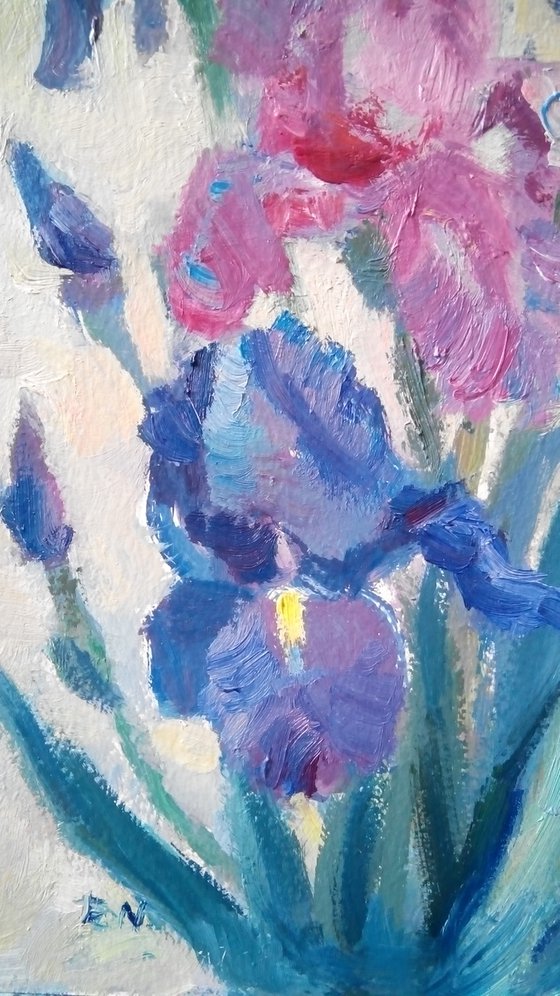 Irises