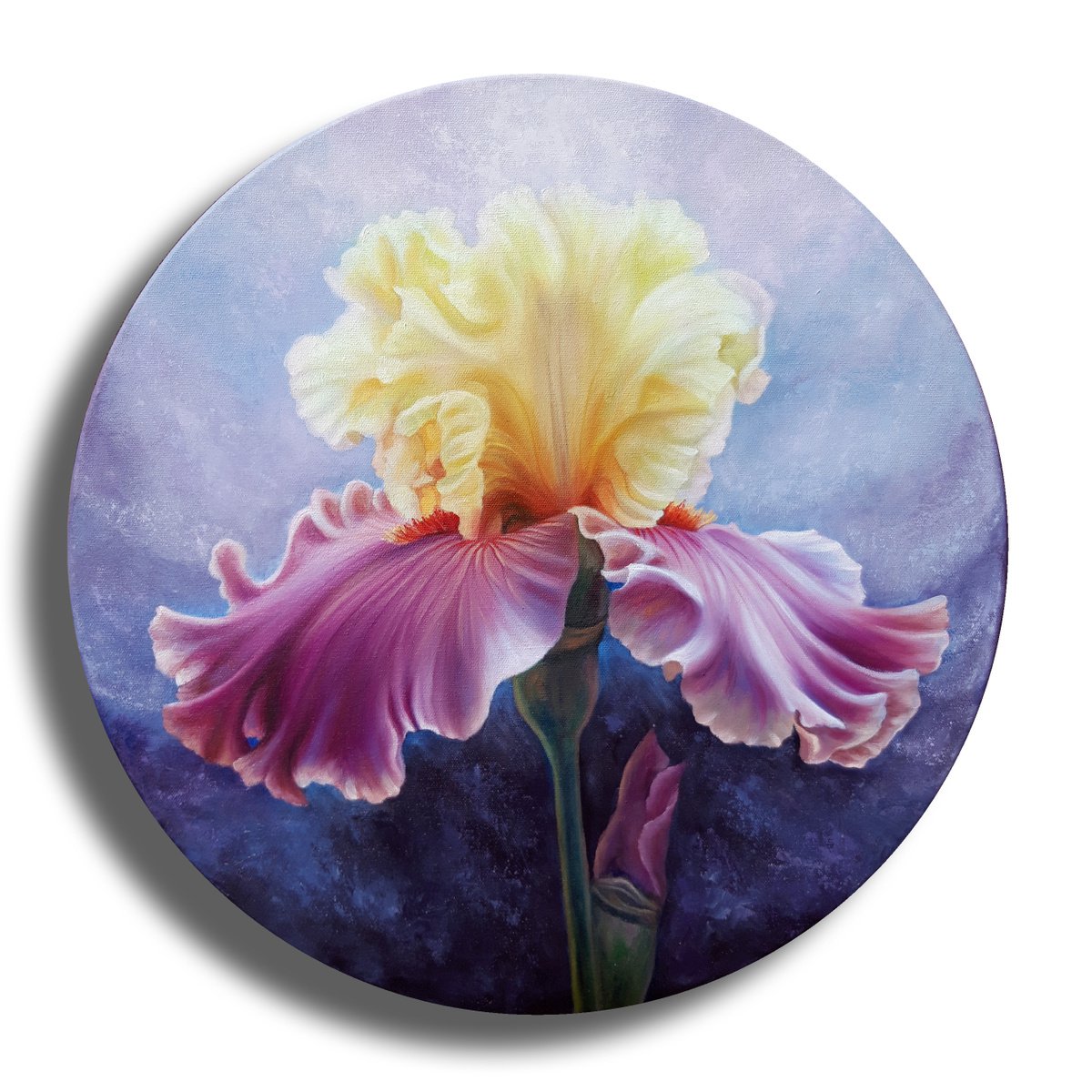 Iris, mixed media round gallery canvas floral painting, flowers art by Anna Steshenko