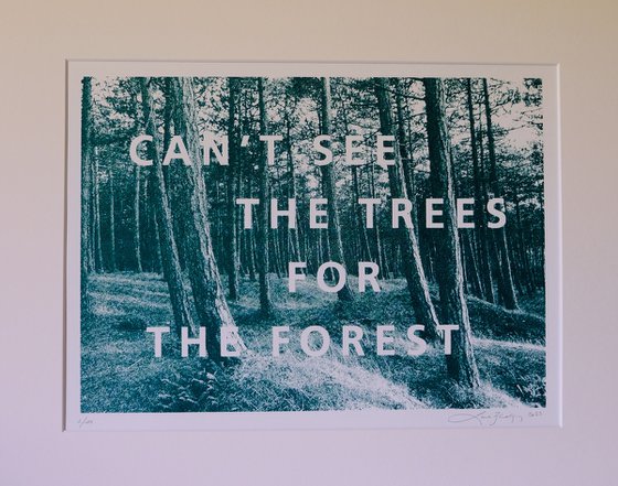 Can't see the trees for the forest