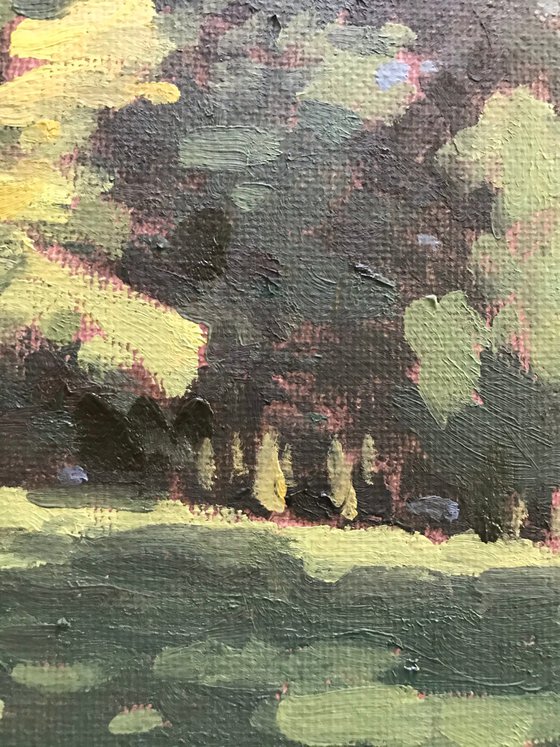 Original Oil Painting Wall Art Signed unframed Hand Made Jixiang Dong Canvas 25cm × 20cm Cityscape Trees in South Park Small Impressionism Impasto