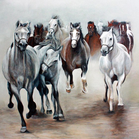 Arabian Horses