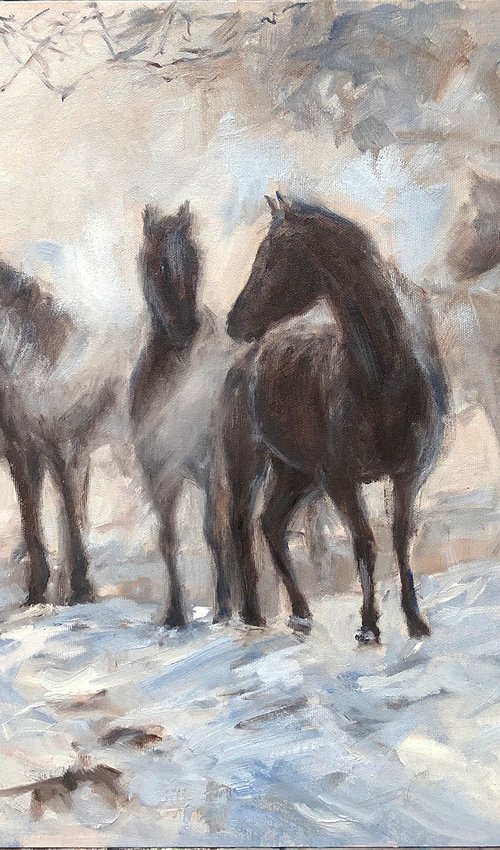 Horses in foggy landscape by Jacqualine Zonneveld