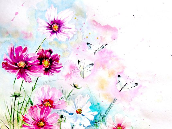 Cosmos flowers