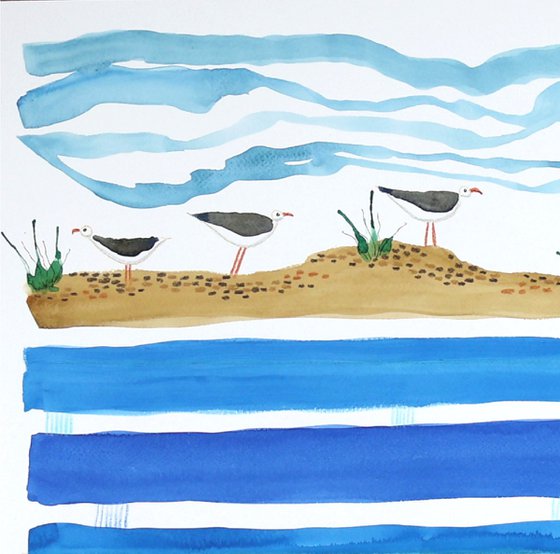 Seagulls Picnic