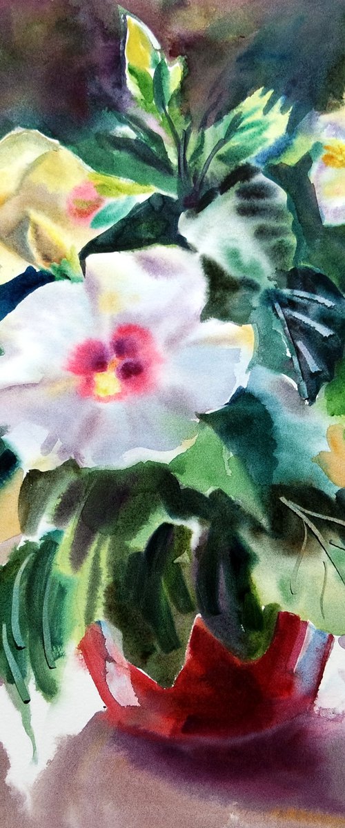 Hibiscus Flower in a Pot Watercolor Still Life Painting by Ion Sheremet