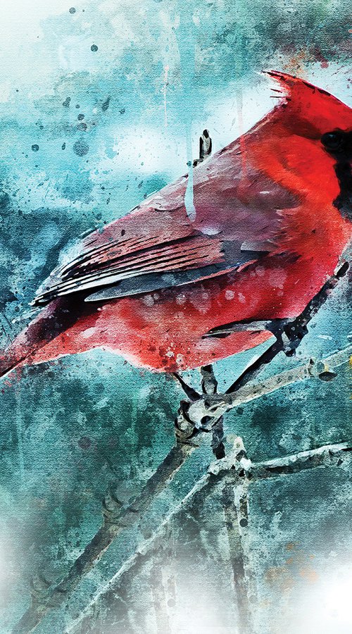 Cardenal by Javier Diaz