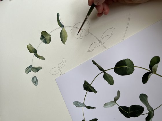 Two eucalyptus branches.