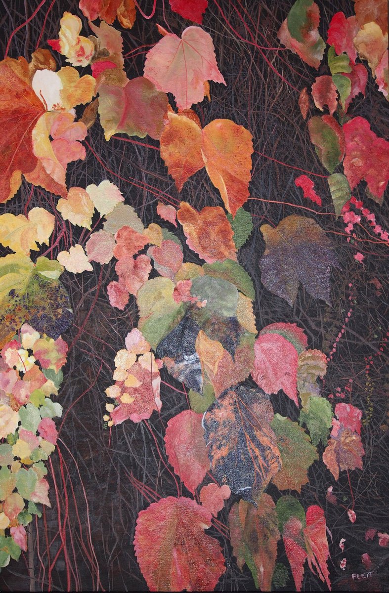 Vineyard 1 By Steven Fleit, 24 X 36, Artwork For Sale On Artfinder