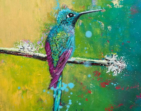 Long tailed Sylph