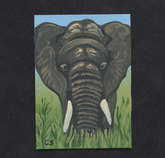 ACEO ATC Original Miniature Painting Elephant Wildlife Art-Carla Smale