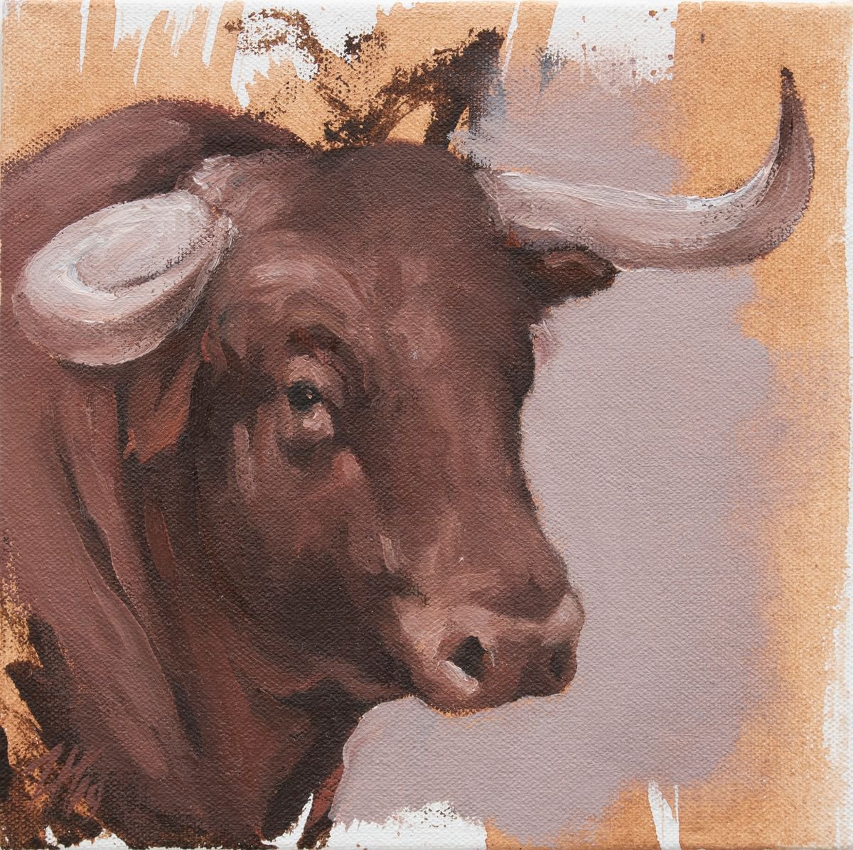 Toro Head Colorado (study 22) by Zil Hoque