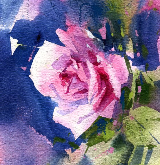 "Pink garden rose. Impression"