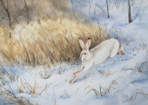 Snow Hare Running in the Snow by Olga Beliaeva Watercolour