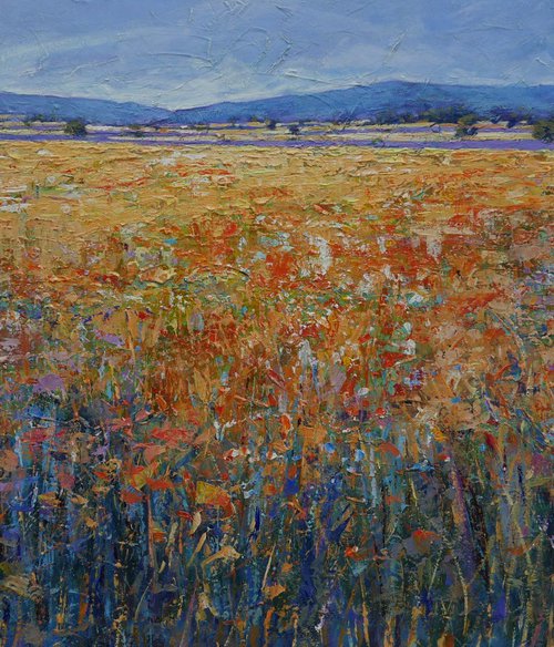 Landscape by Claudio Ciardi