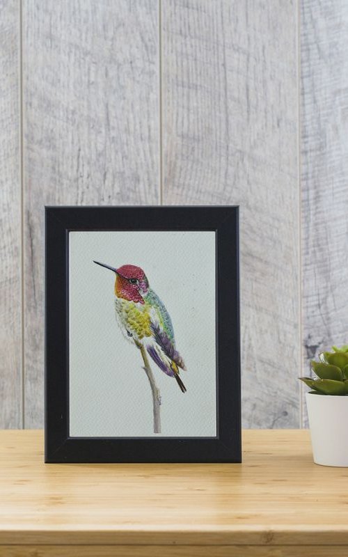 Anna's Hummingbird by Neha Soni
