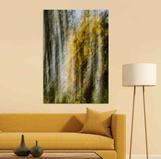 Birches (studio 8)