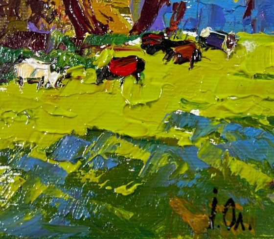 Cows on the meadow
