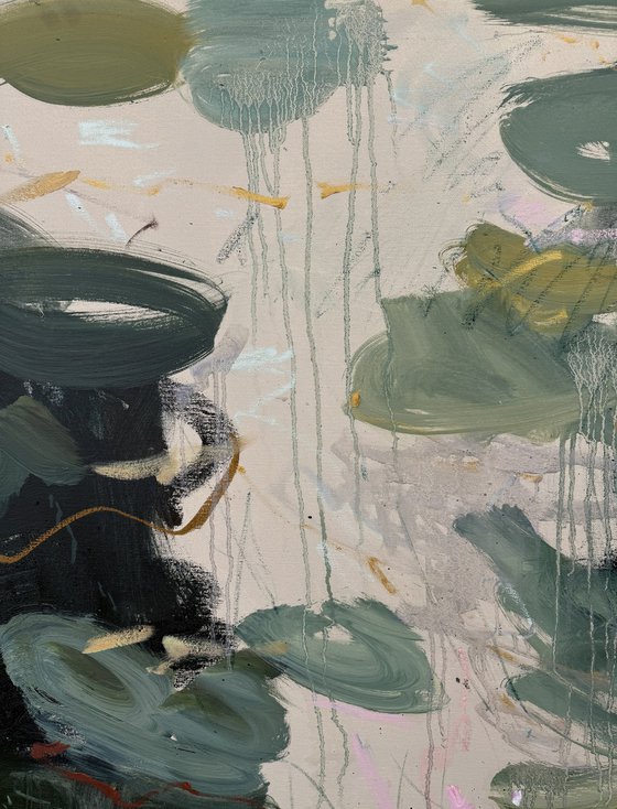 Lily pond. Summer reflections