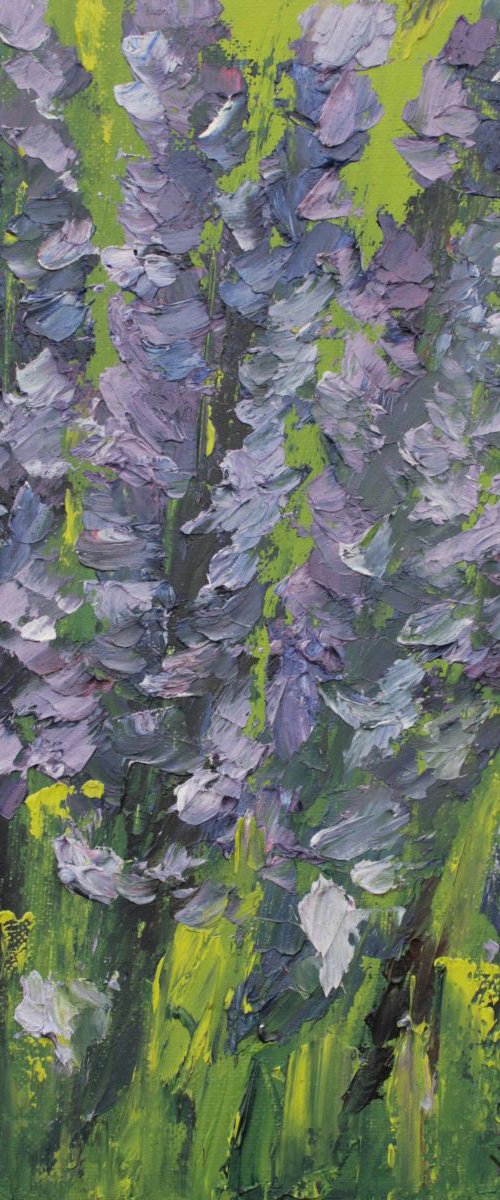 Lavender by John Halliday