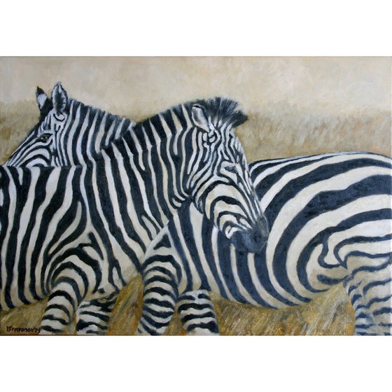 Zebras