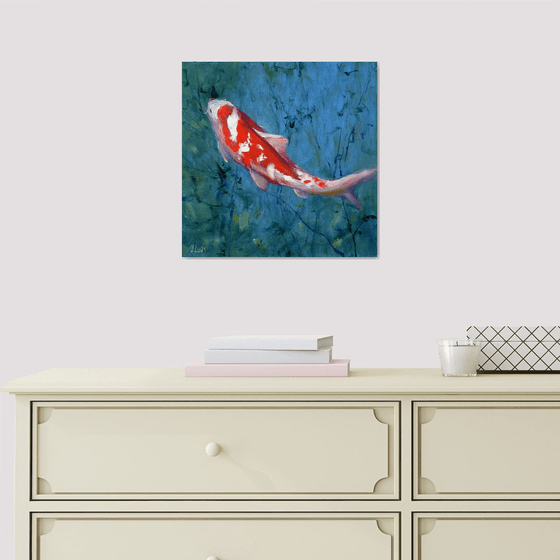 Red Koi carp