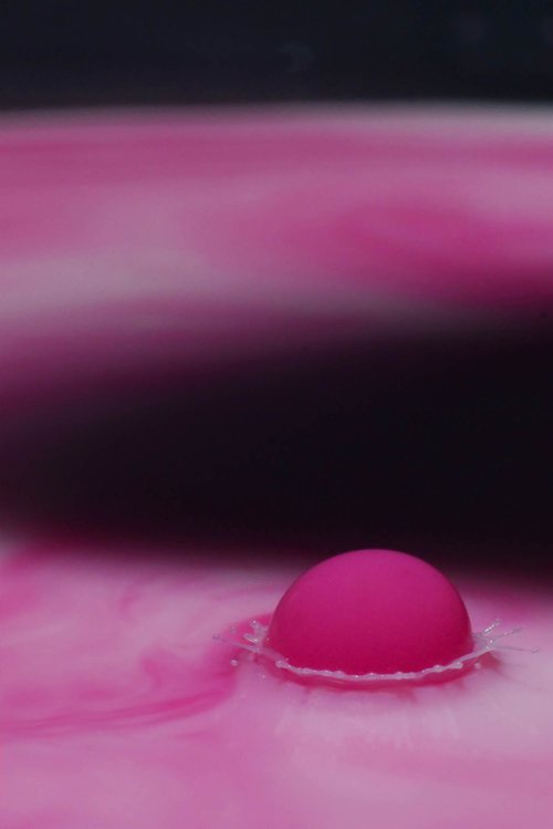 " Pink drop " Limited Edition 1 / 3 by Dmitry Savchenko