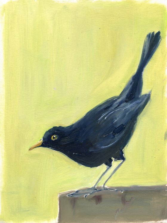 Bird 1