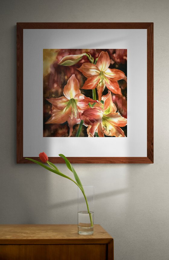 spring amaryllis