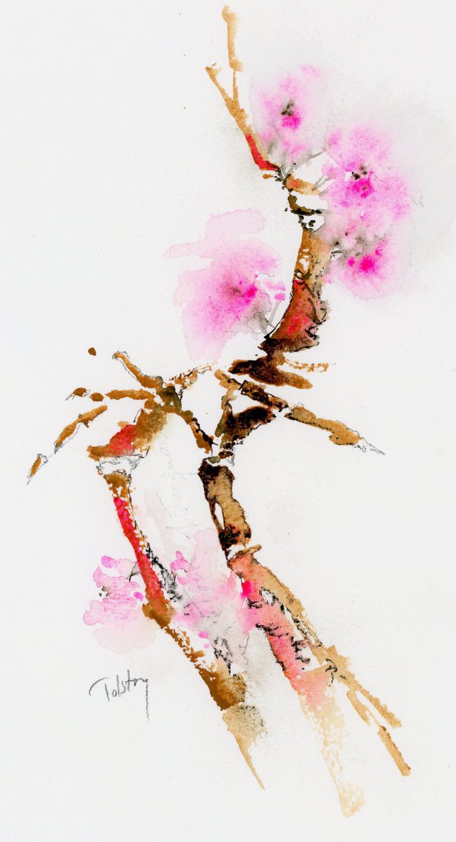 Branches with Pink Blossoms by Alex Tolstoy