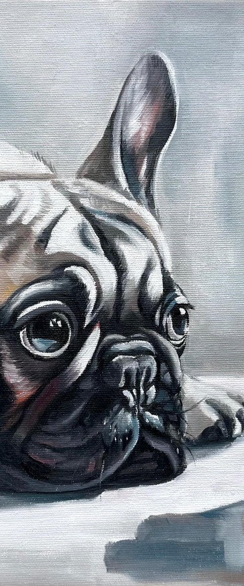 Bulldog and Cake by VICTO